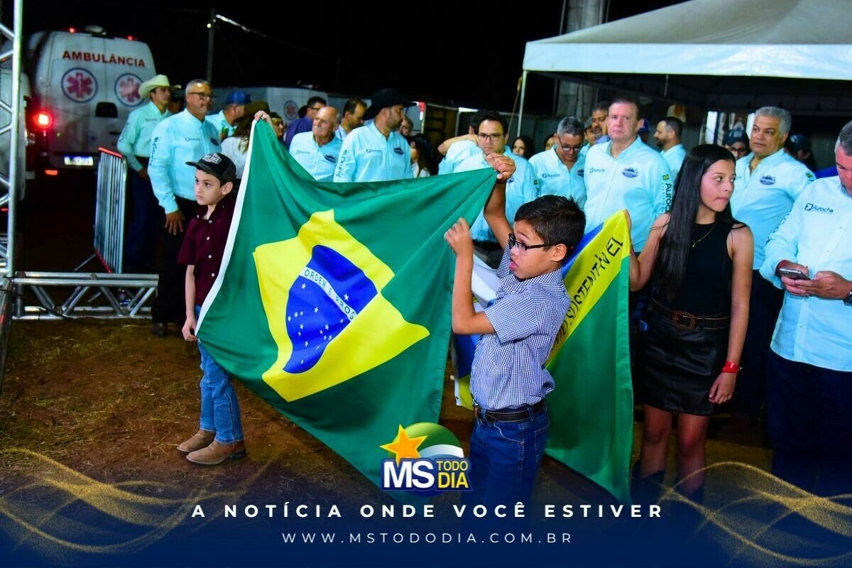 Imagem da Galeria